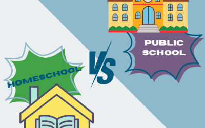 Homeschool vs. Public School: A Personal Reflection