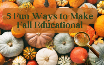 Fall-Themed Science Activities