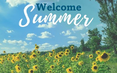 5 Educational Summer Activities that are not “School”