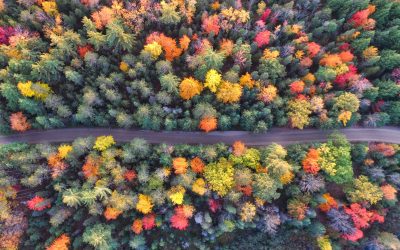 A September Fall Bucket List