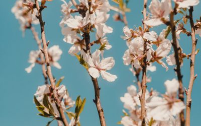You survived January and February! But wait…now what?